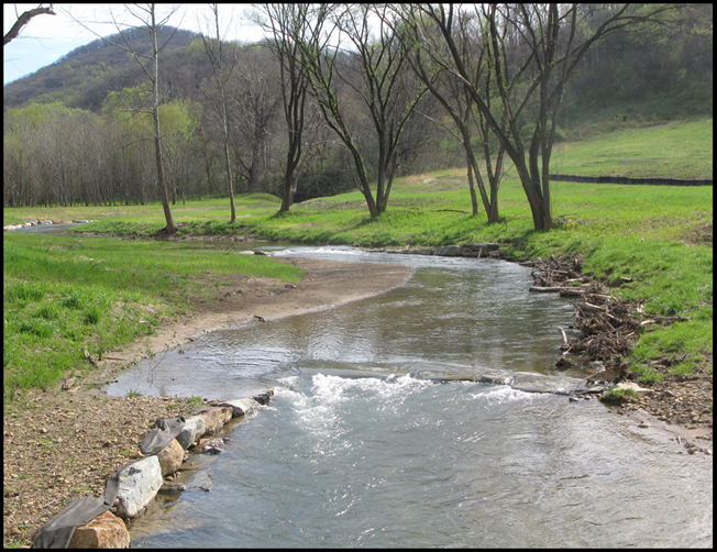 Post-Construction: Naturally-restored banks at Glade Creek
