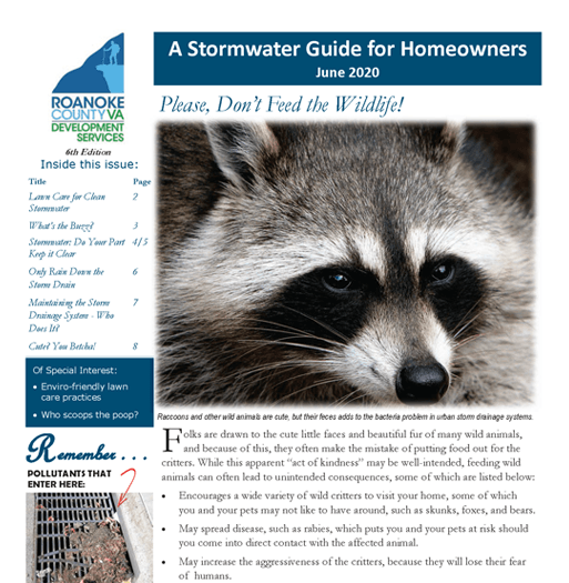 Newsletter Spotlight Image