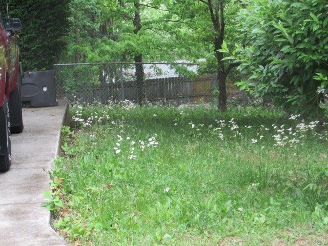 tall grass violation 2