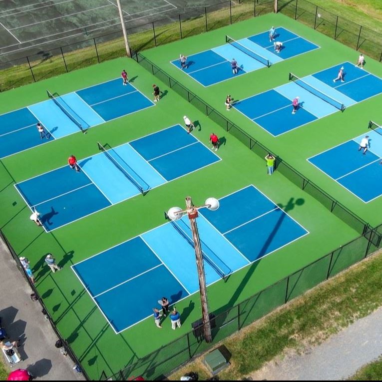 Walrond Park Pickleball