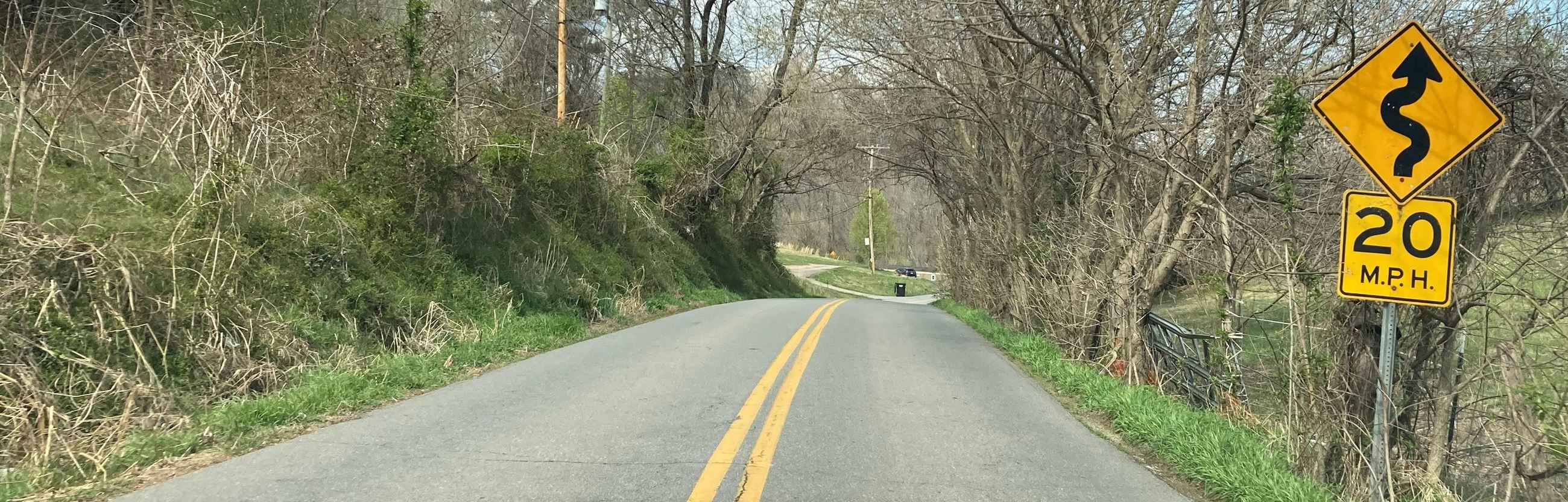 Picture of Carson Road with advisory speed limit sign