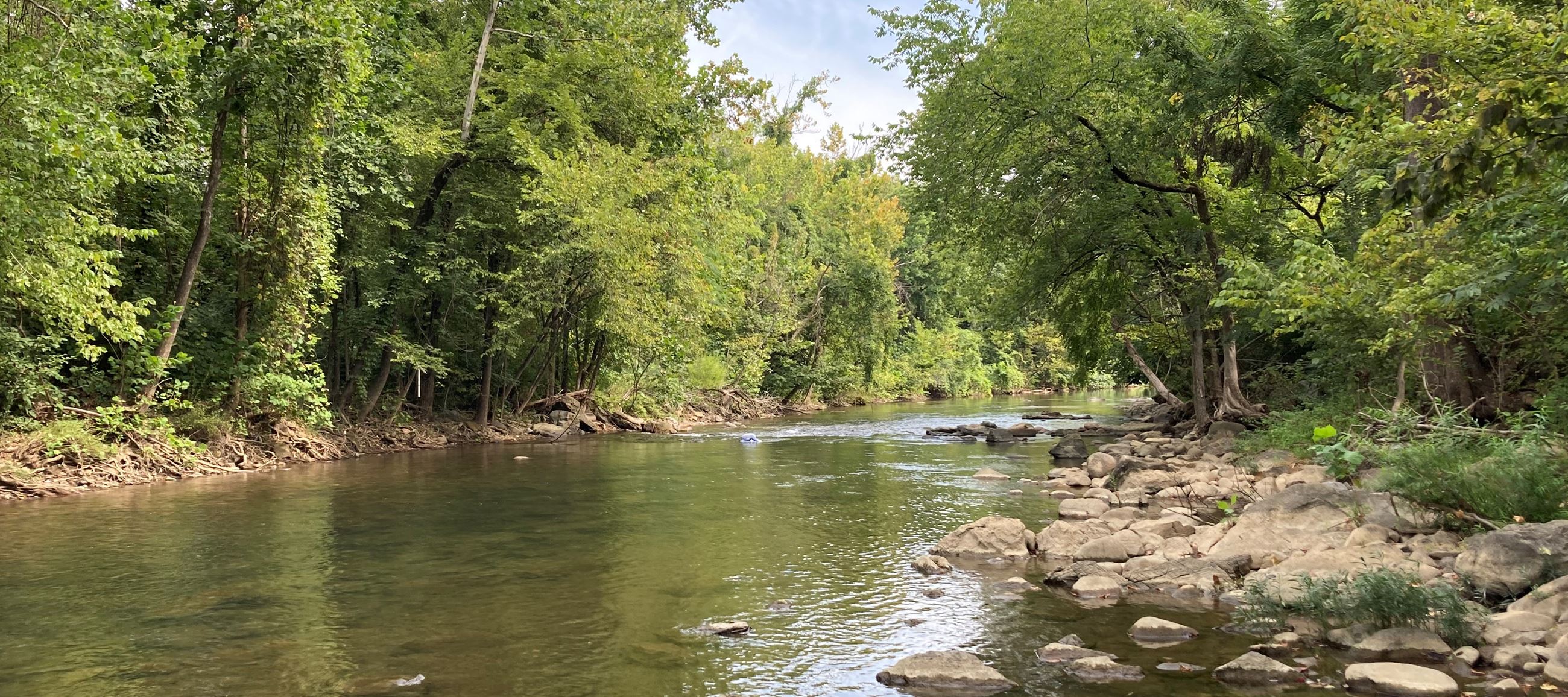 The Roanoke River where the West Roanoke River Greenway will be located