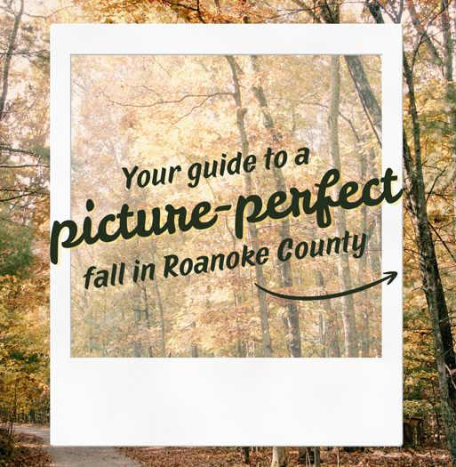 Scenic fall landscape with 