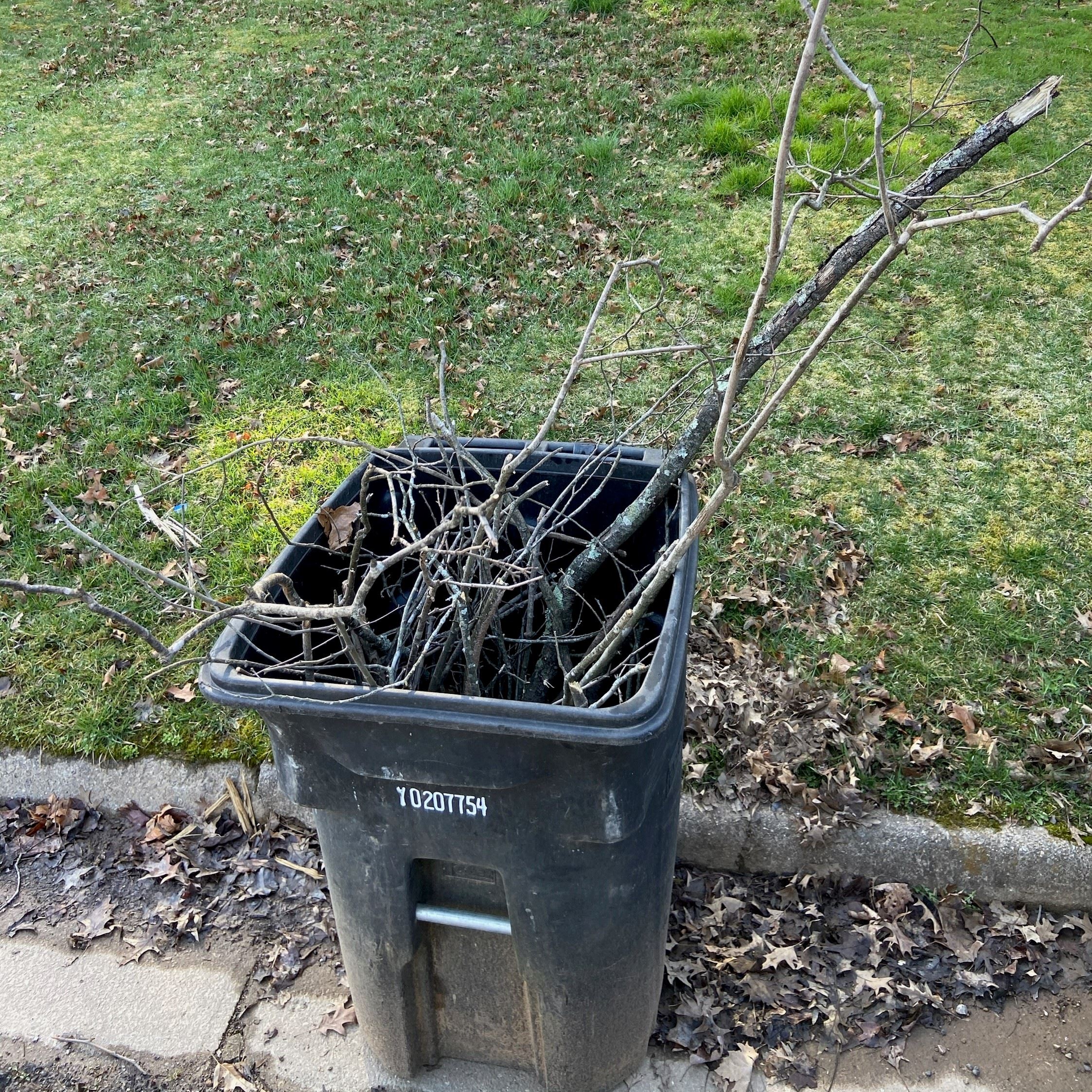 Several 3 to 5 foot tree limbs and associated sticks inside a Roanoke County trash can