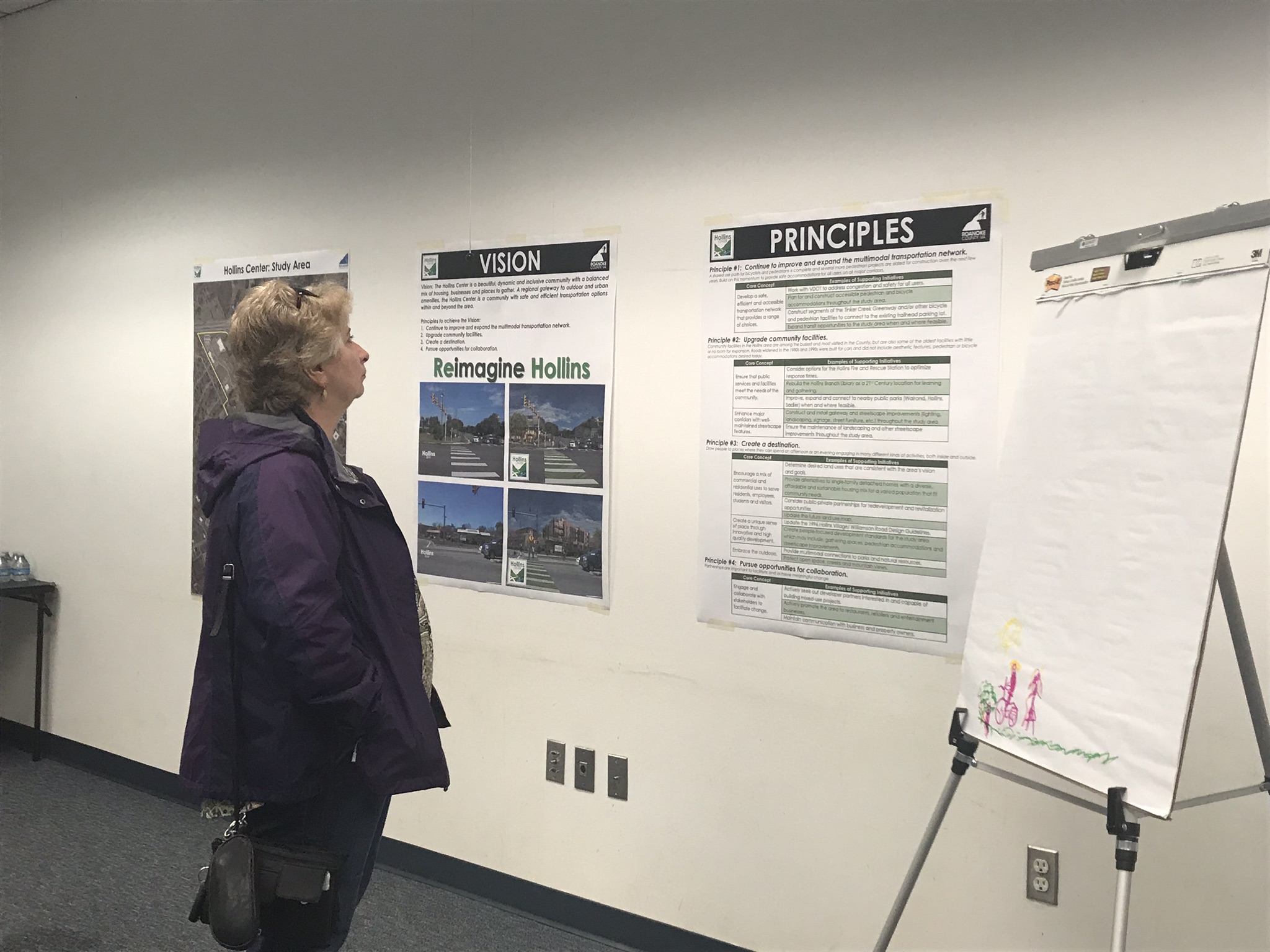 Draft Plan Reveal Meeting - March 2019