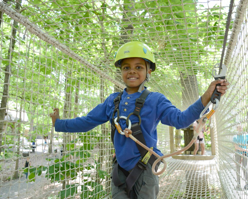Treetop Aerial Course