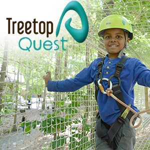 Treetop Quest