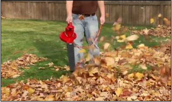 Leaf blower
